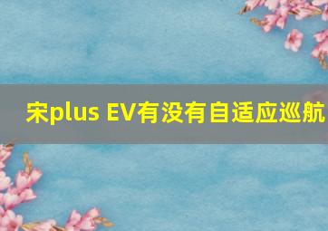 宋plus EV有没有自适应巡航